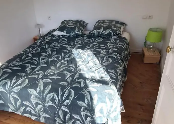 Lejlighed Superbe 2 Pieces45 M2 Calme Ensoleille Hypercentre